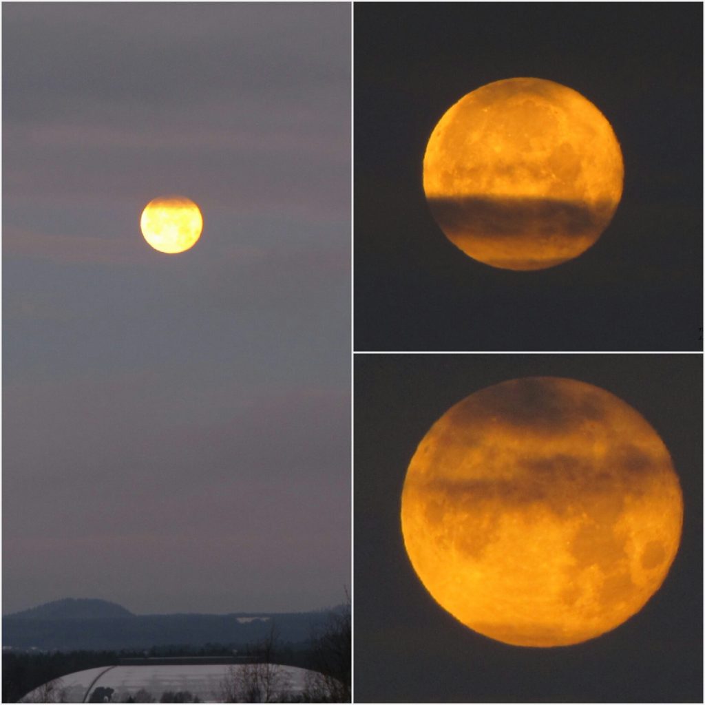 Valokuvaaja: Tuula Makkonen