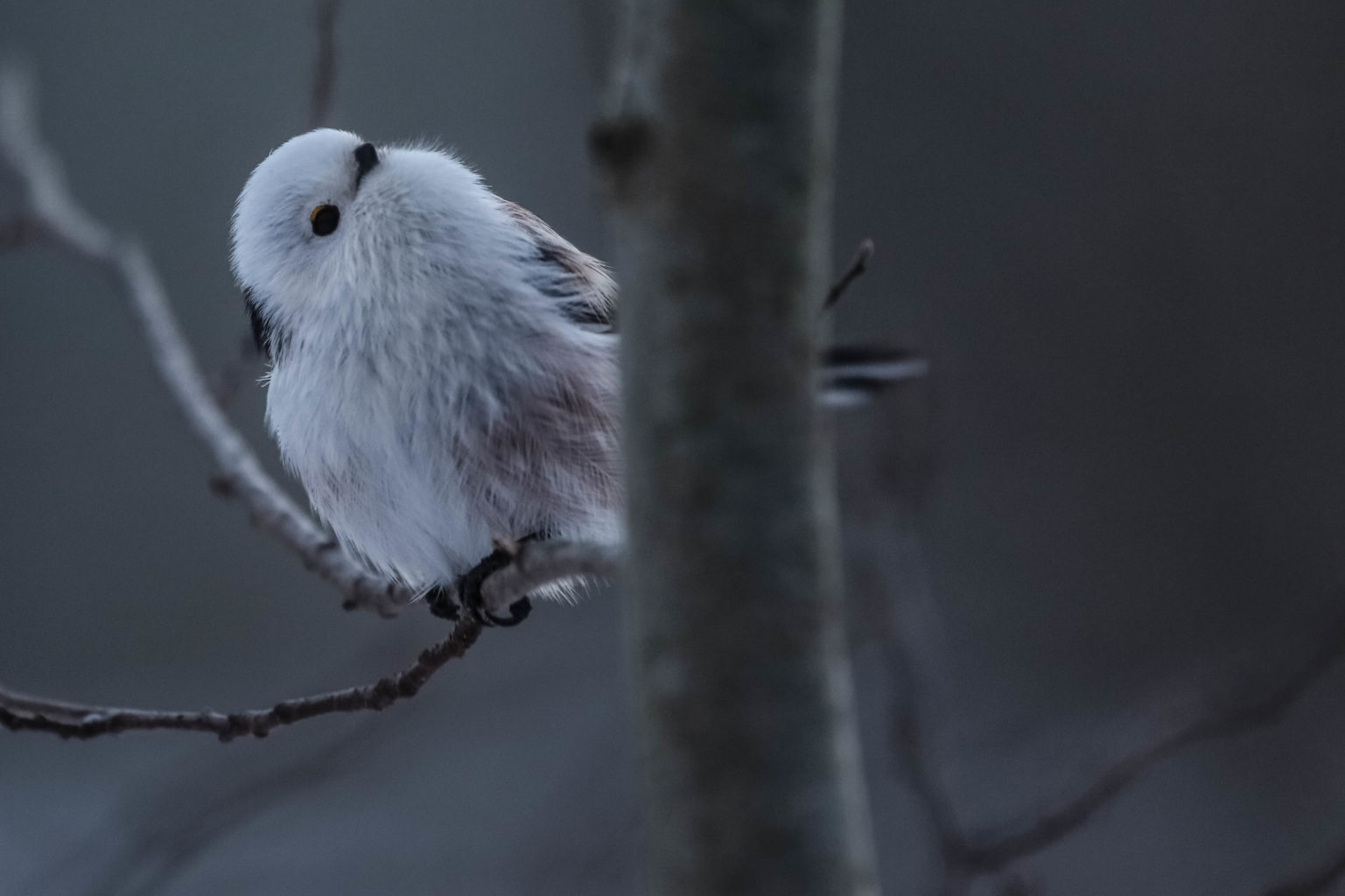 Valokuvaaja: Markku Salonen