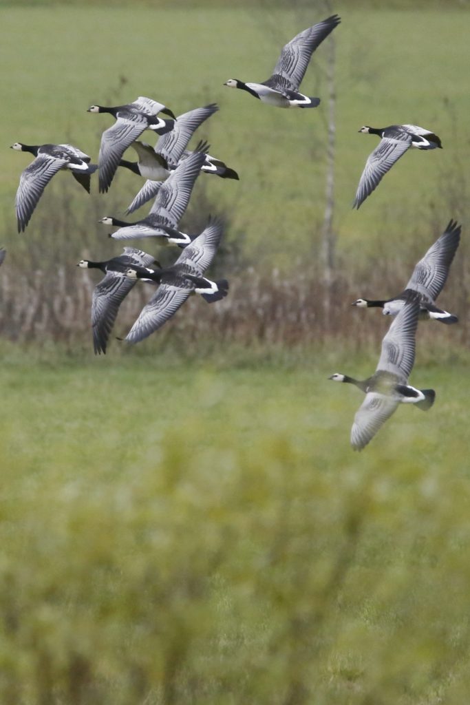 Valokuvaaja: Anne Moilanen Valokuvaaja: Anne Moilanen