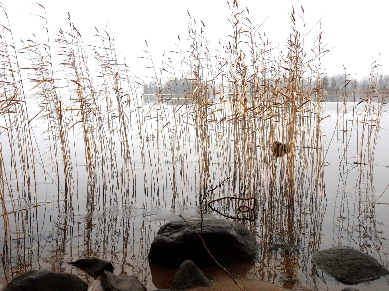 Valokuvaaja: Irja Lehtinen