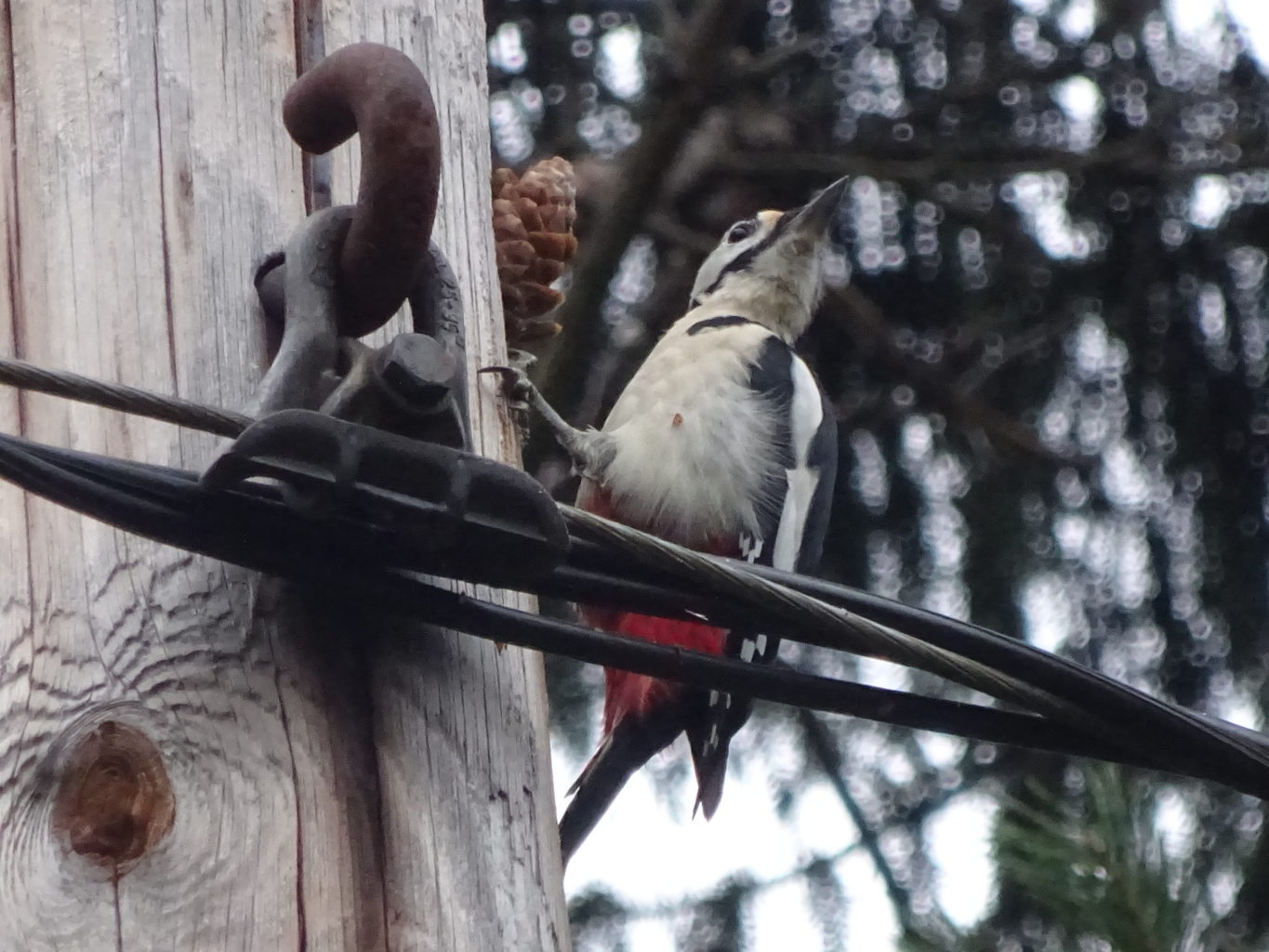Valokuvaaja: Anja Mustamaa
