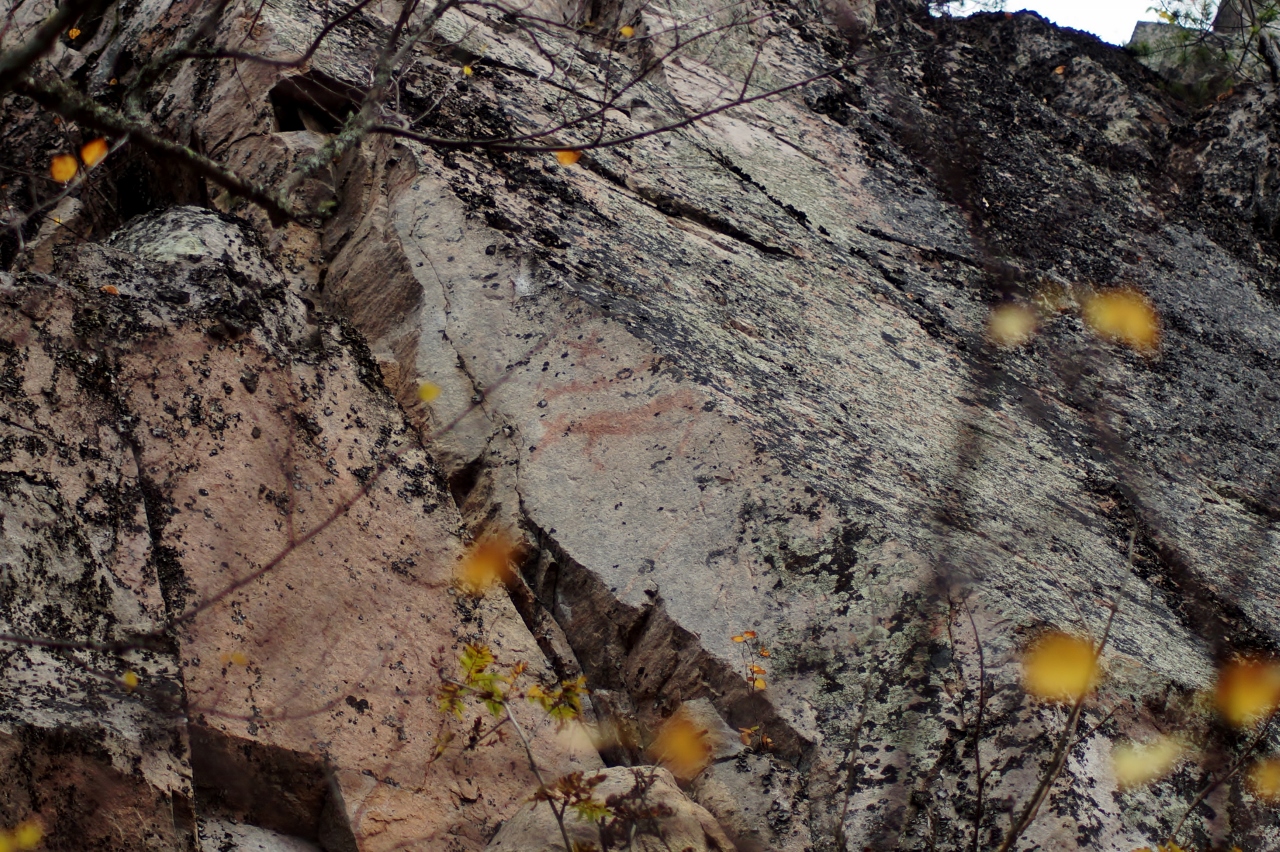 Valokuvaaja: Maarit Siitonen