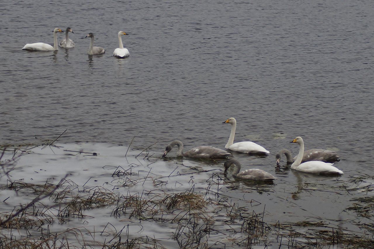 Valokuvaaja: Maarit Siitonen