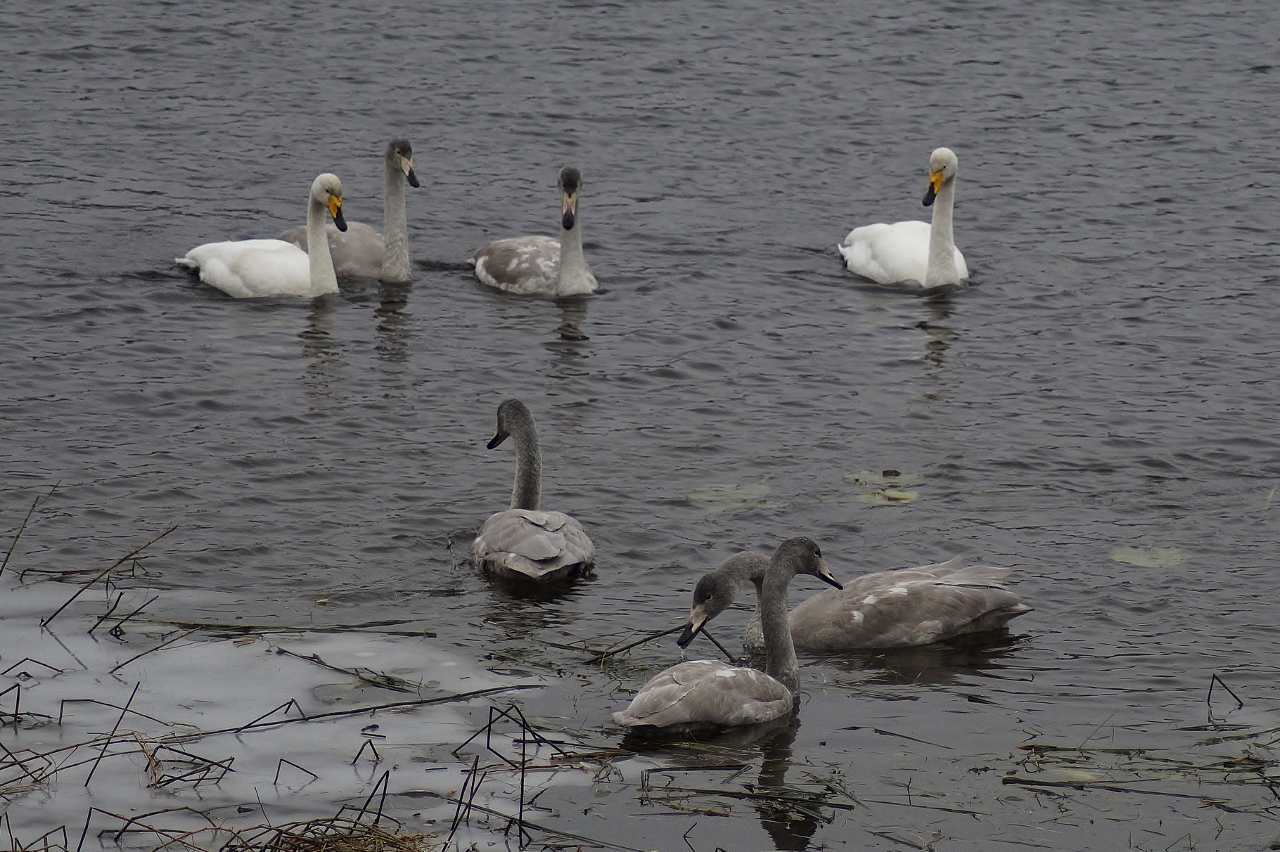 Valokuvaaja: Maarit Siitonen