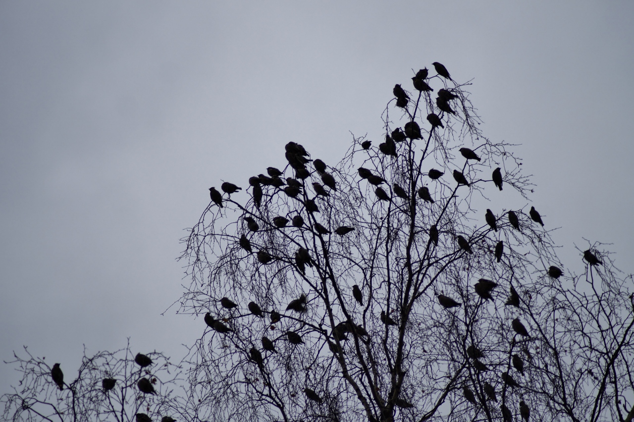 Valokuvaaja: Maarit Siitonen