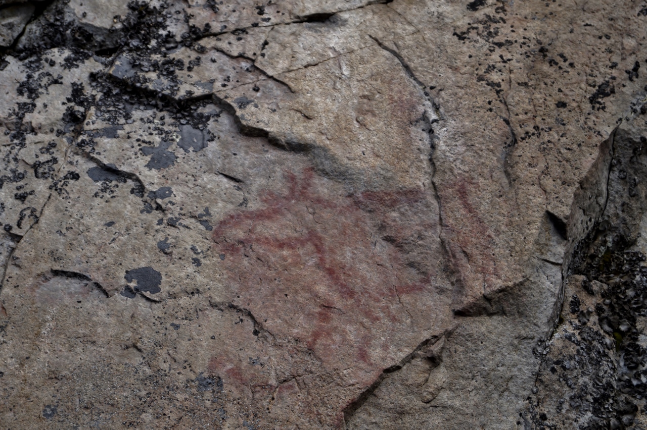 Valokuvaaja: Maarit Siitonen