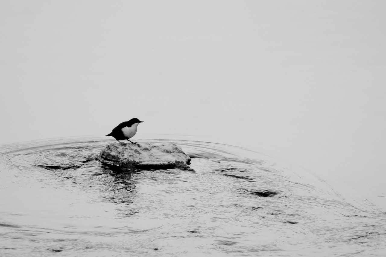 Valokuvaaja: Maarit Siitonen