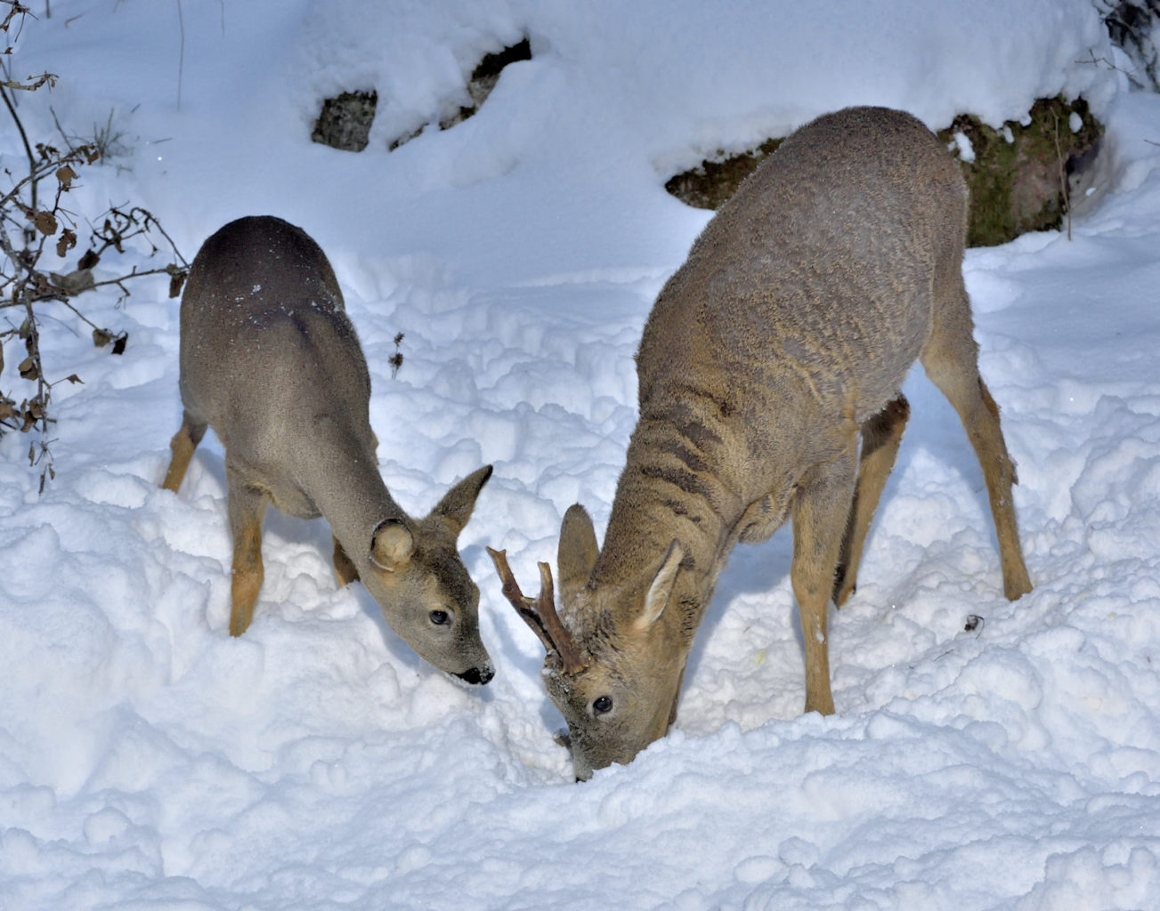 Valokuvaaja: Reijo Juurinen
