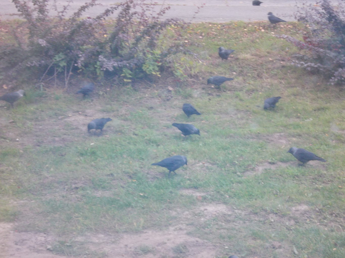 Valokuvaaja: Katja Ketola