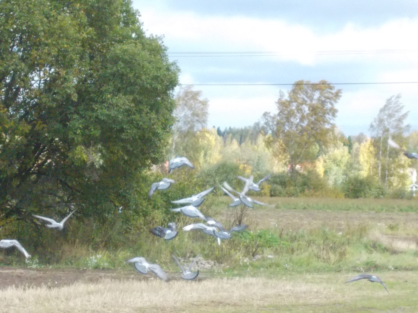 Valokuvaaja: Katja Ketola