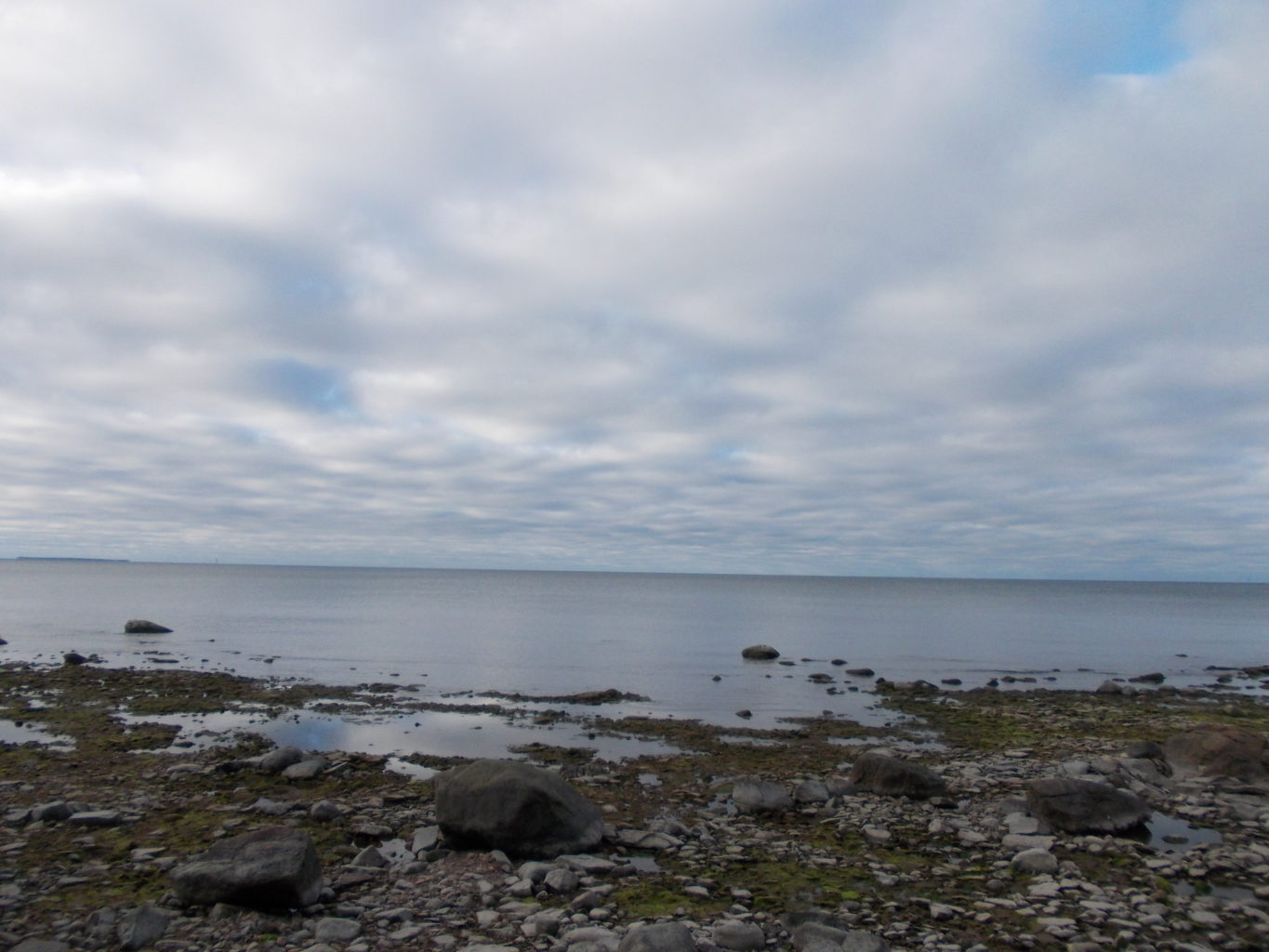 Valokuvaaja: Katja Ketola Valokuvaaja: Katja Ketola