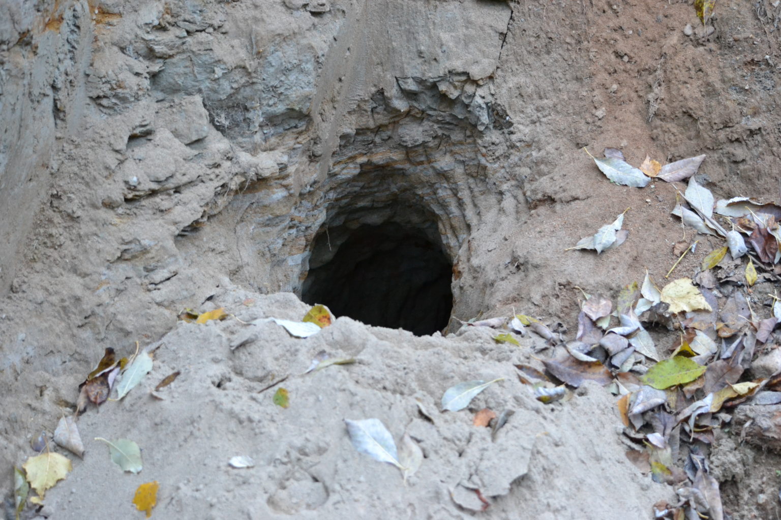 Valokuvaaja: Leena Latvala