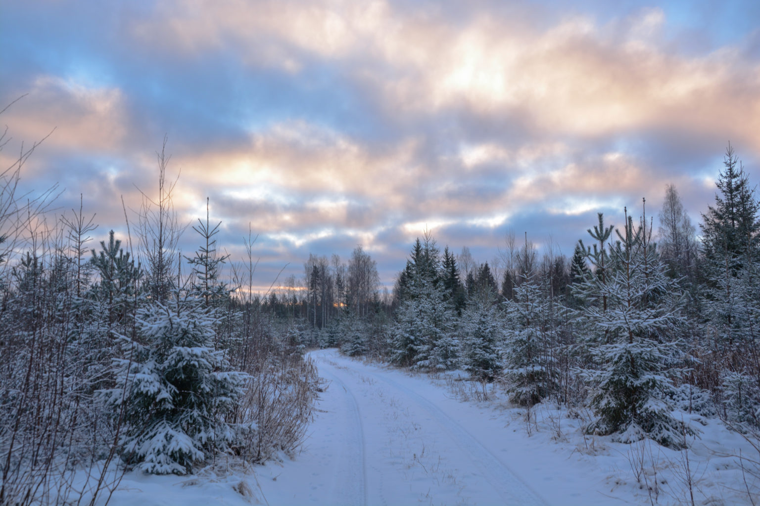 Valokuvaaja: MAIJA SAVOLAINEN