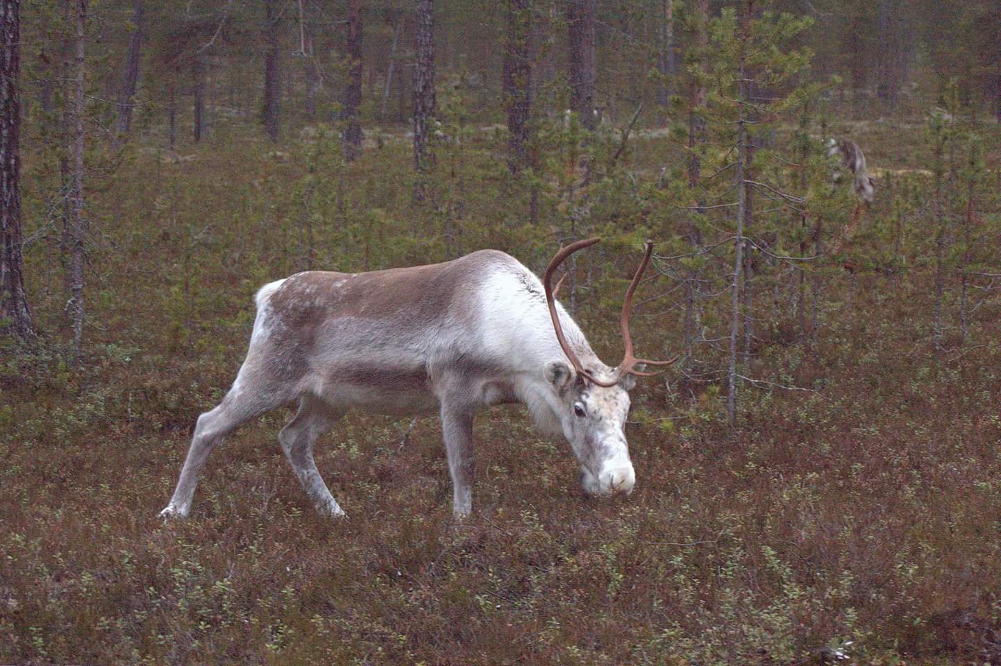 Valokuvaaja: Tapio Keinonen