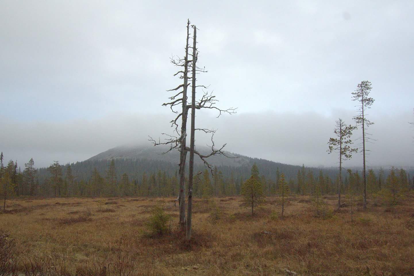 Valokuvaaja: Tapio Keinonen