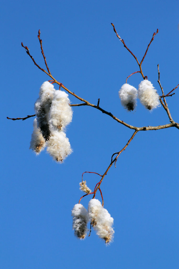 Valokuvaaja: Katri Mäkinen