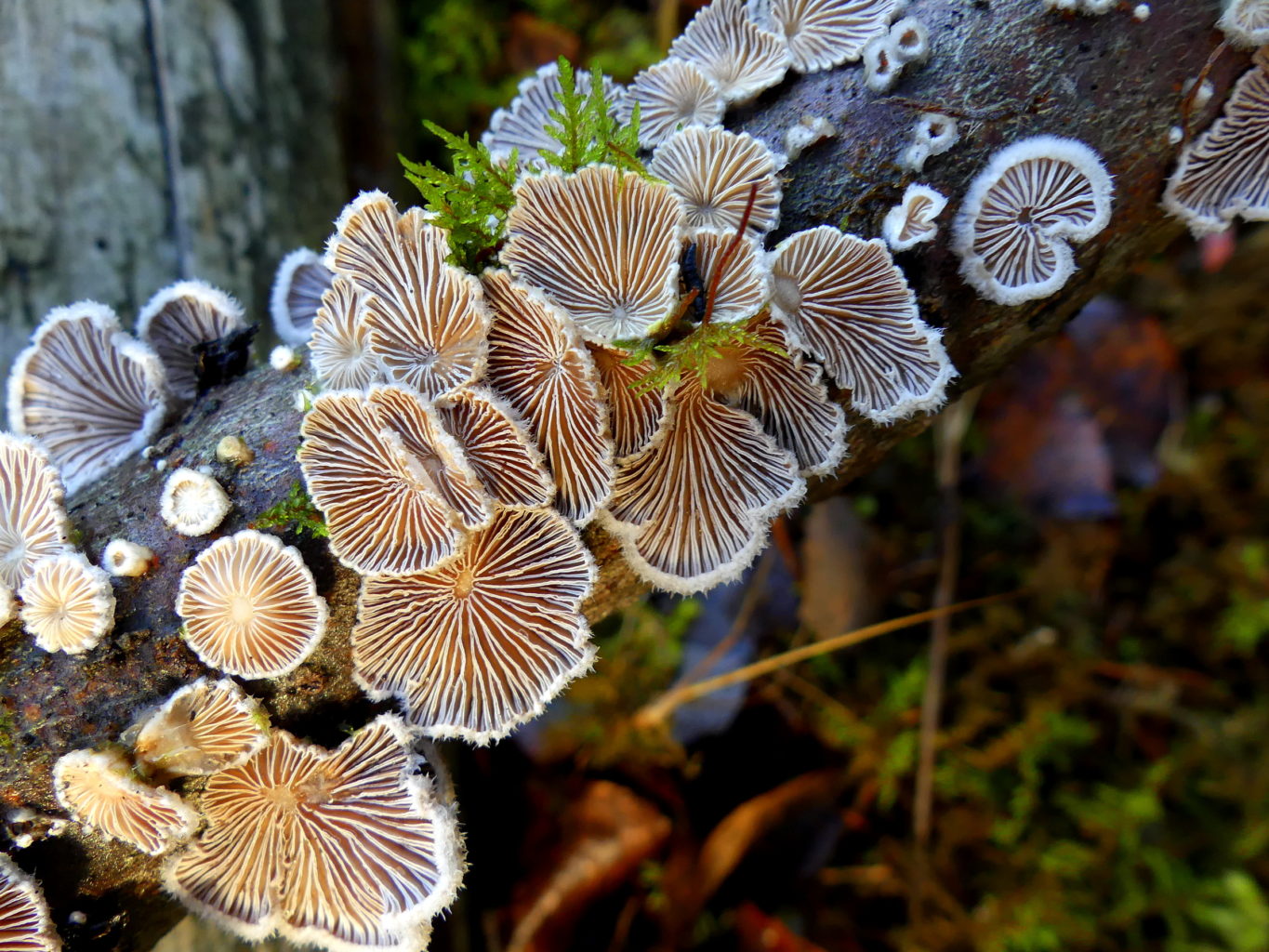 Valokuvaaja: Kari Aaltonen