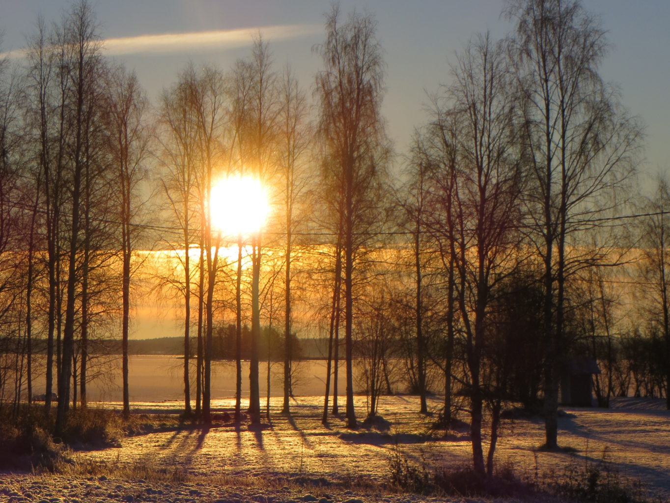 Valokuvaaja: Sirkka Ruotoistenmäki
