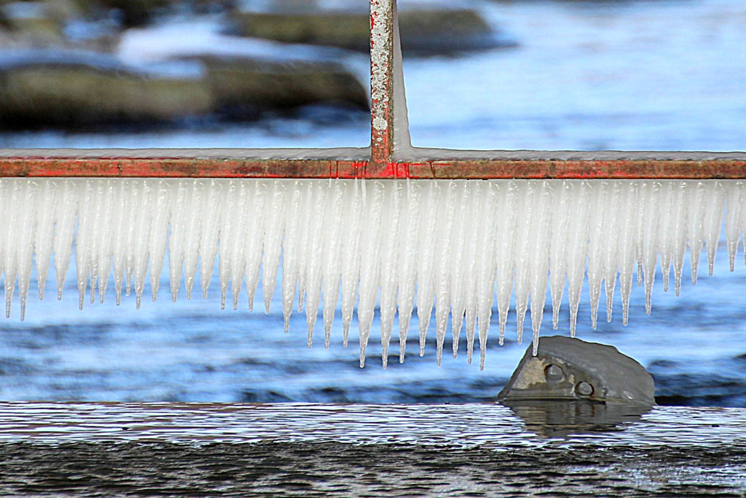 Valokuvaaja: Irja Lehtinen Valokuvaaja: Irja Lehtinen