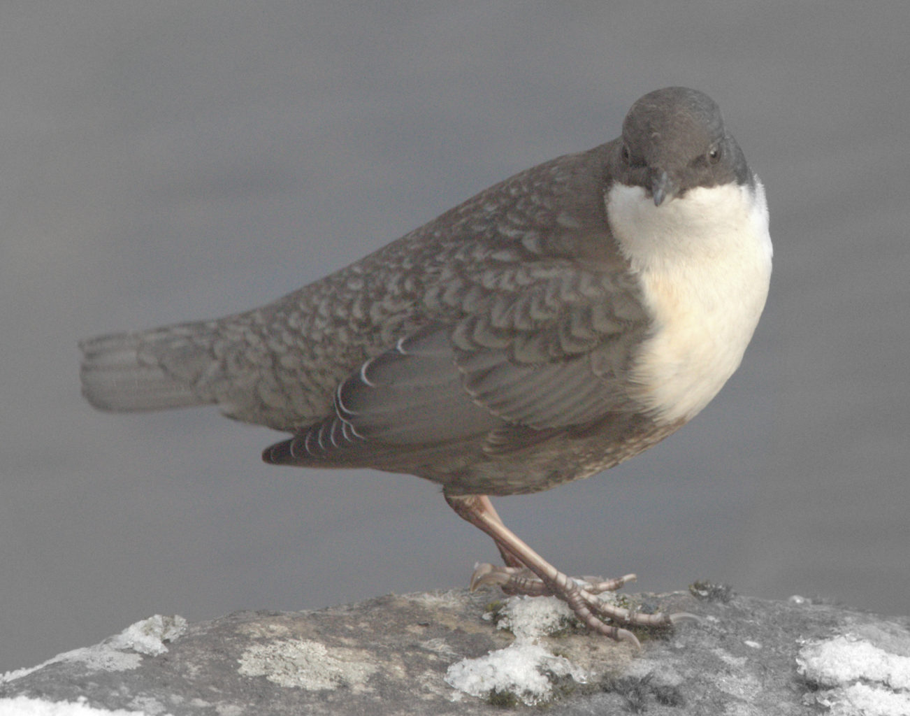 Valokuvaaja: tapio keinonen
