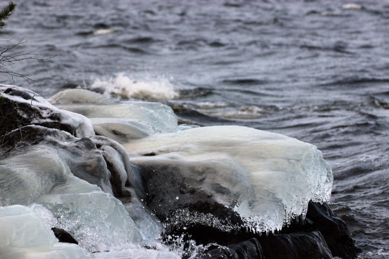 Valokuvaaja: Irja Lehtinen