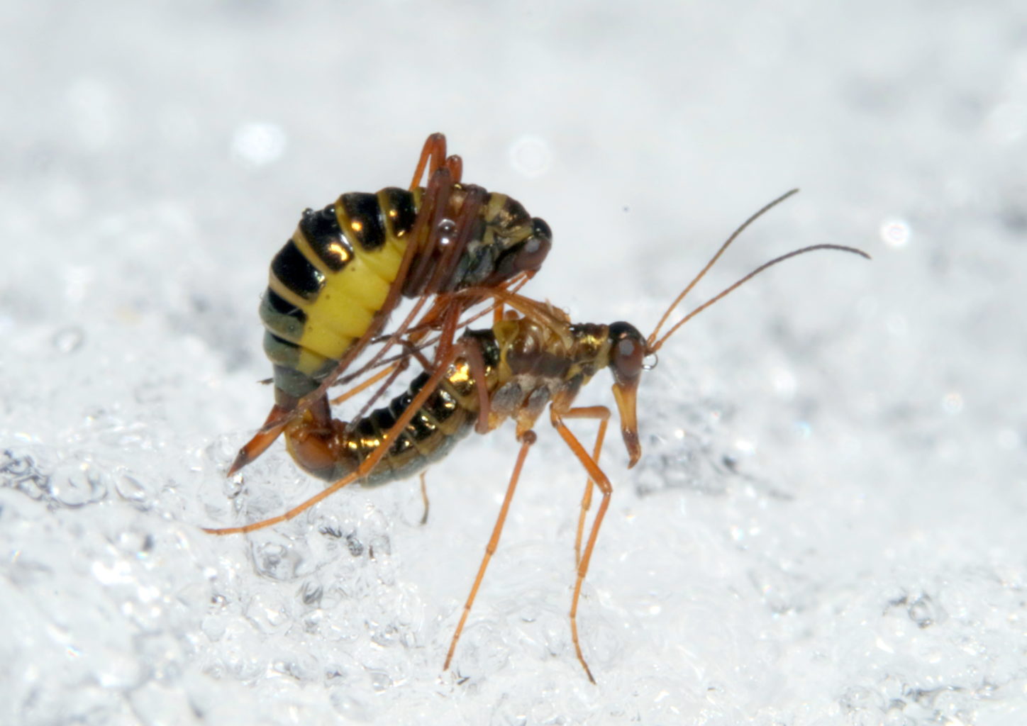 Valokuvaaja: Hannu Rasiranta