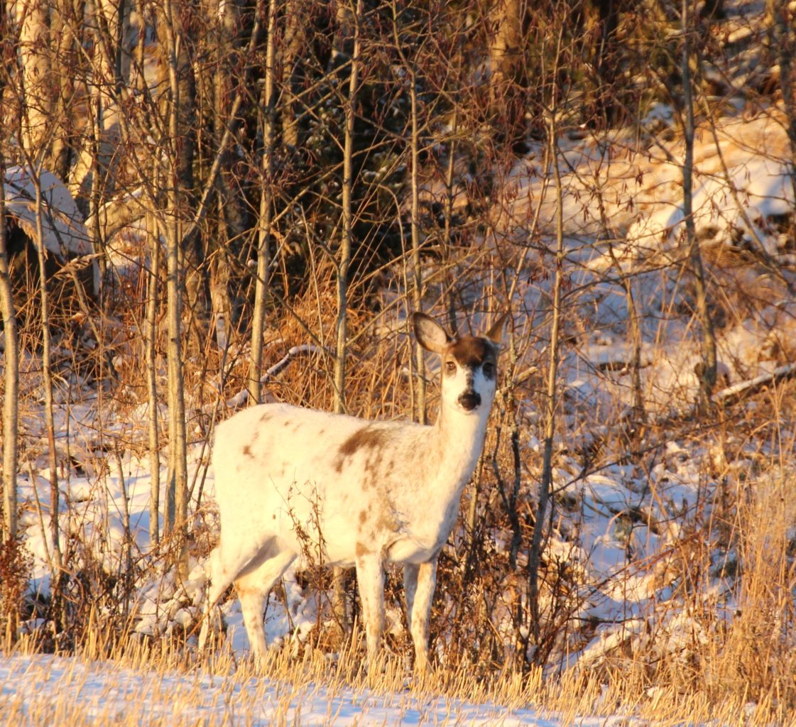 Valokuvaaja: Irja Lehtinen