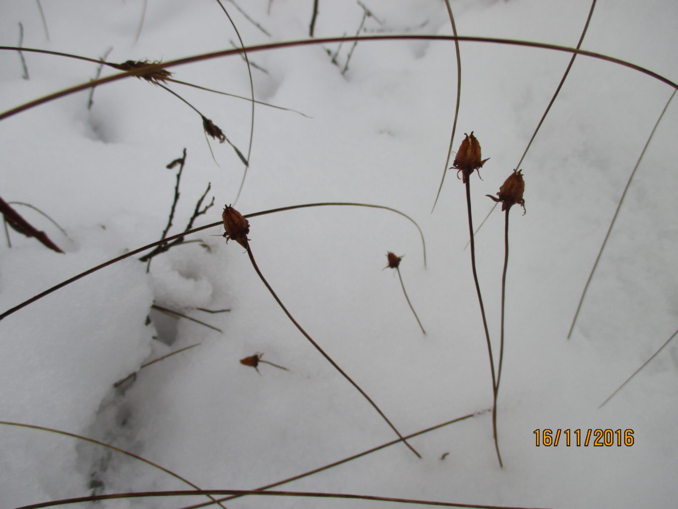 Valokuvaaja: yrjo lukkari