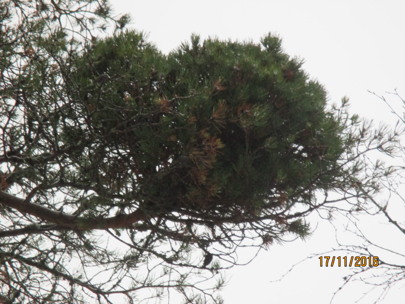 Valokuvaaja: yrjo lukkari