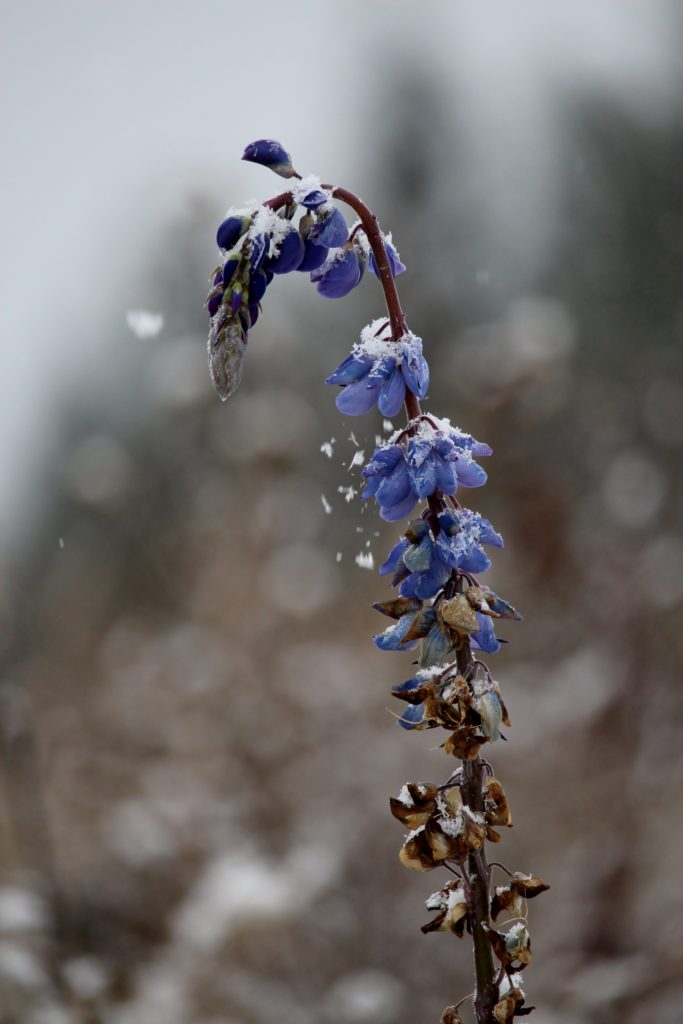 Valokuvaaja: Tuulikki Piikkilä