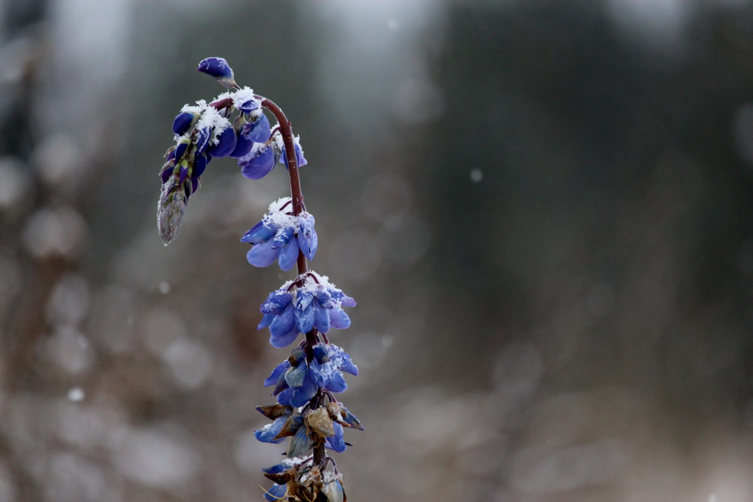 Valokuvaaja: Tuulikki Piikkilä
