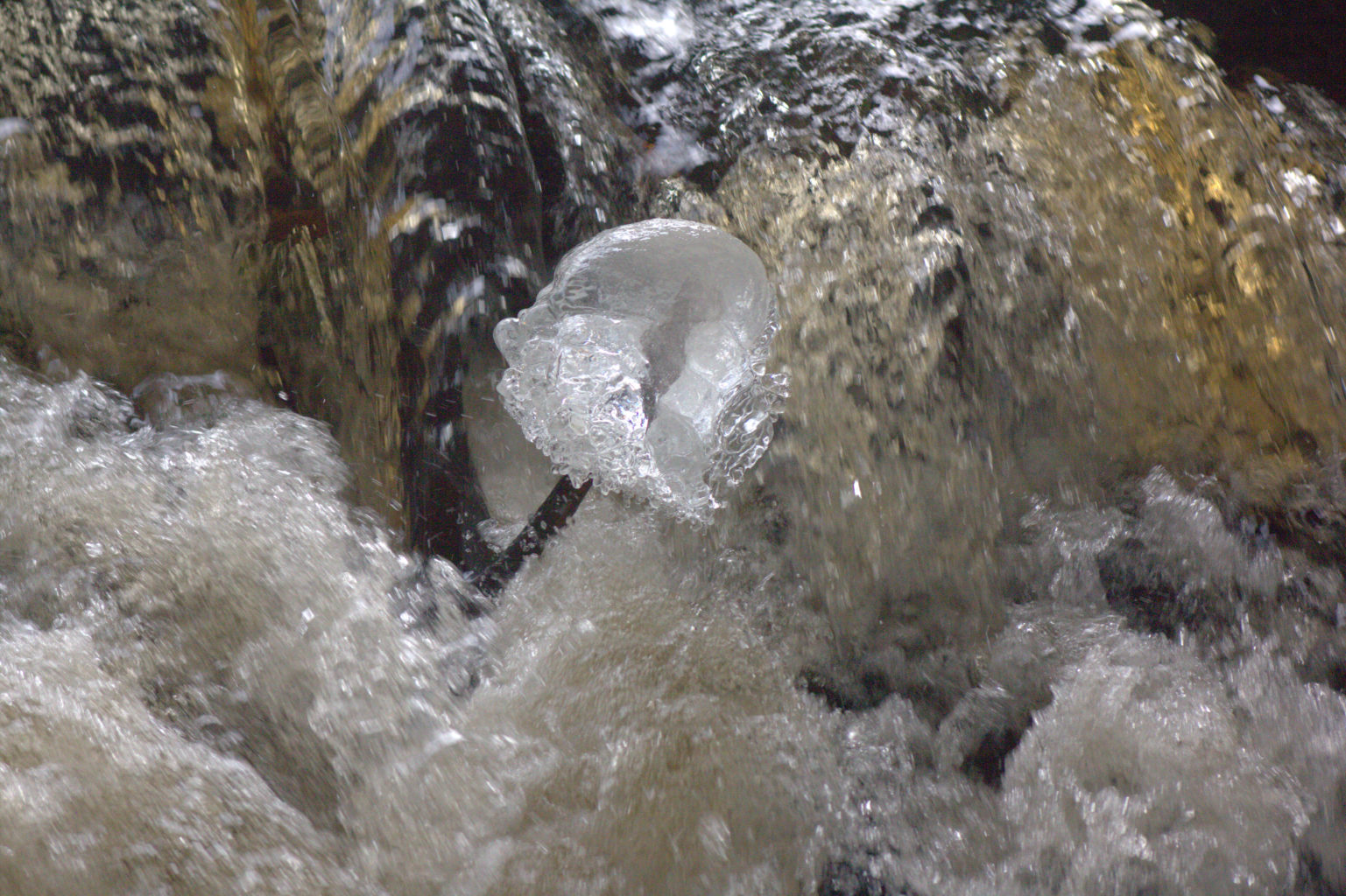 Valokuvaaja: tapio keinonen