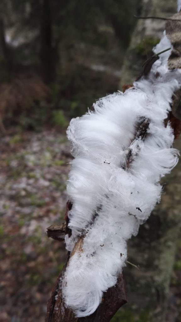 Valokuvaaja: Kati Alatalo