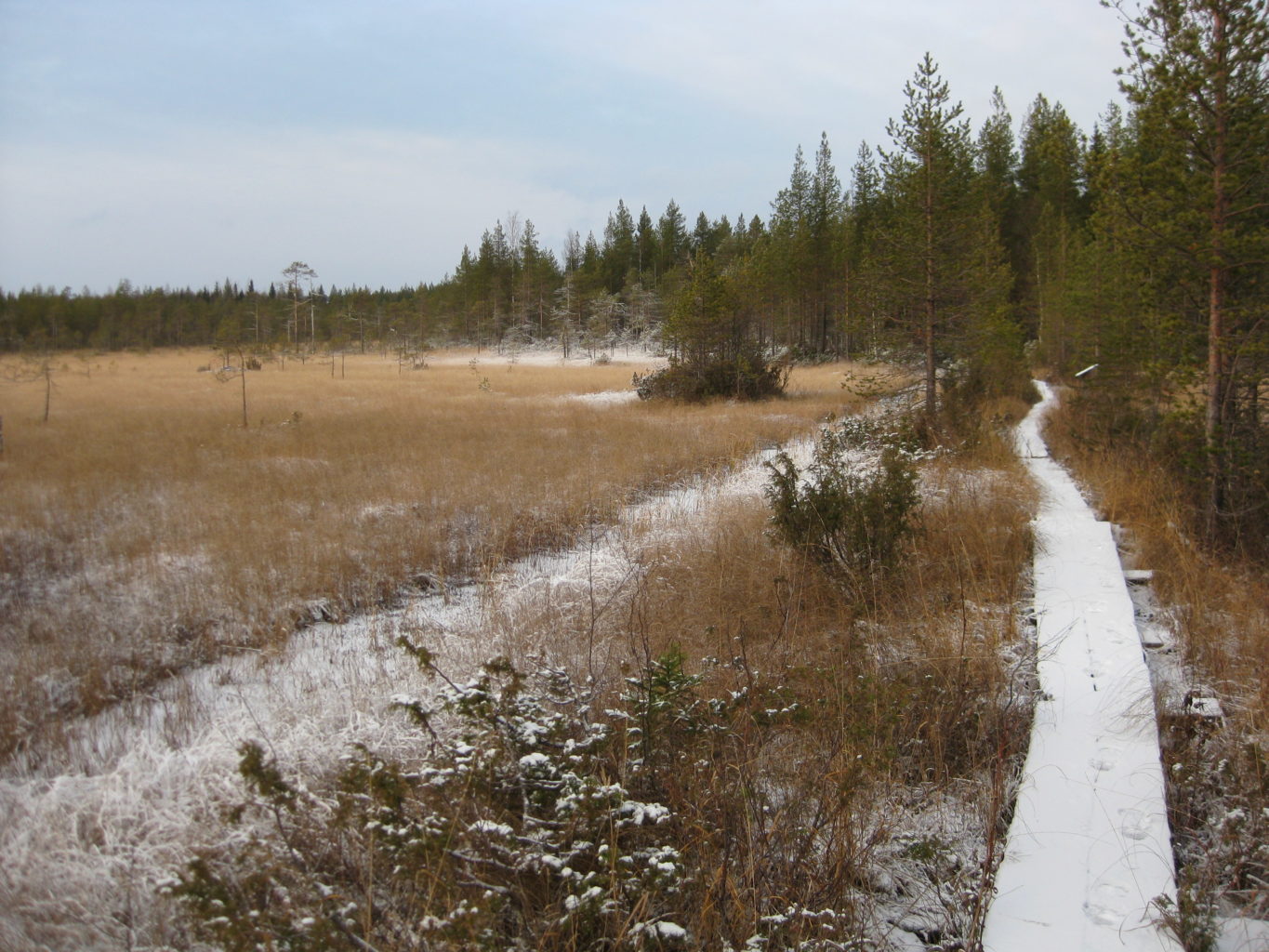 Valokuvaaja: yrjo lukkari