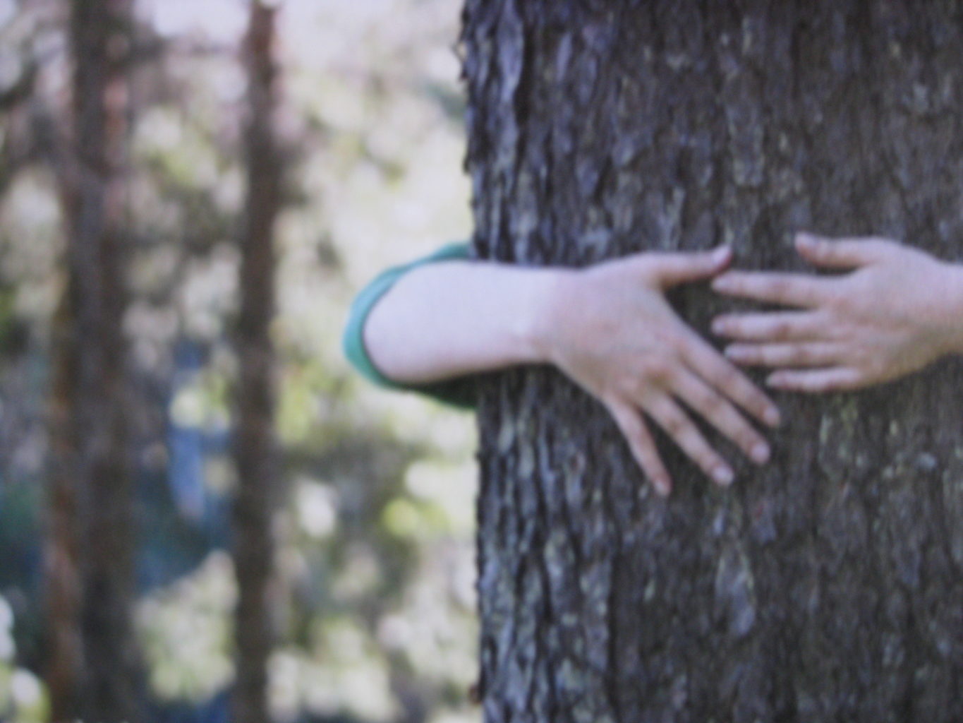 Valokuvaaja: yrjo lukkari