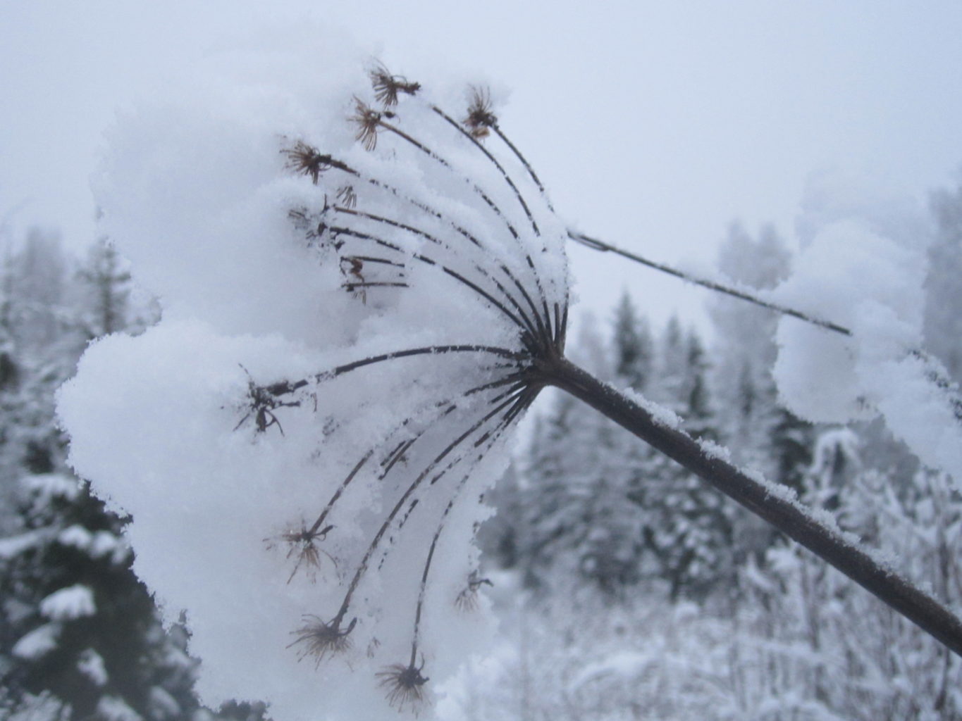 Valokuvaaja: Hannu Rissanen