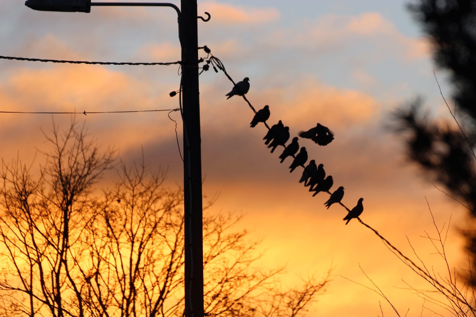 Valokuvaaja: Irja Lehtinen