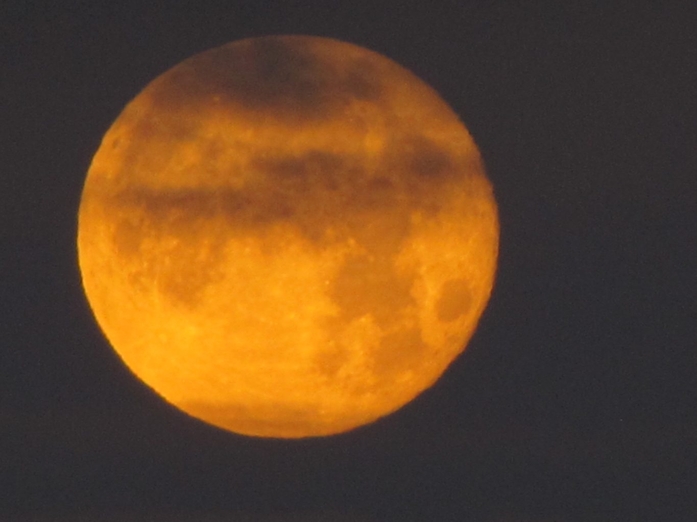 Valokuvaaja: Tuula Makkonen