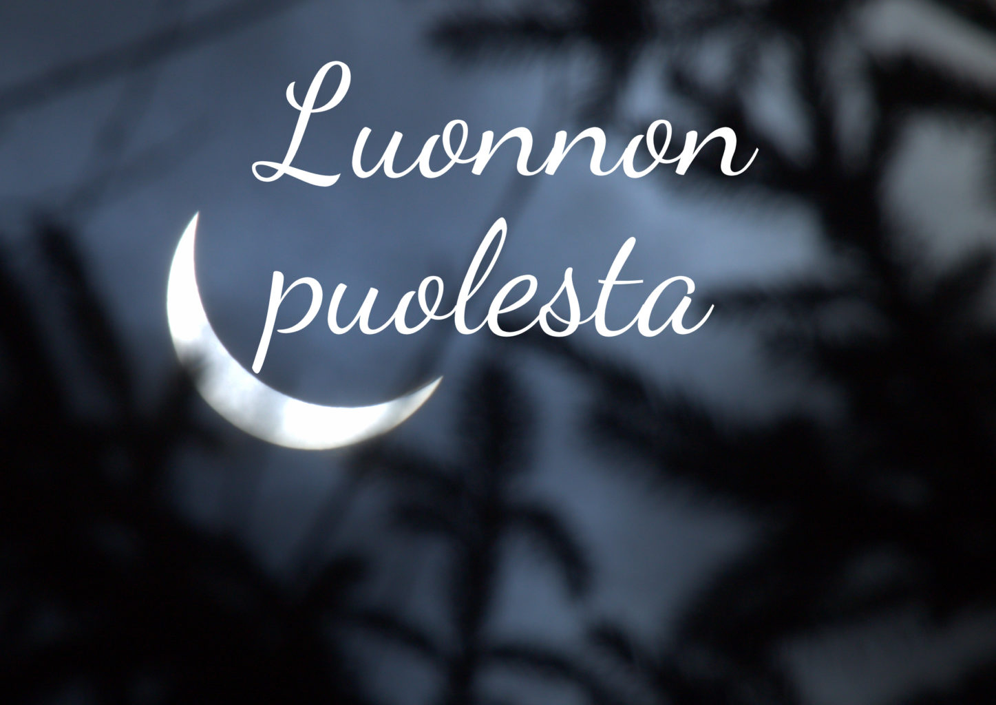 Valokuvaaja: Sami Korhonen