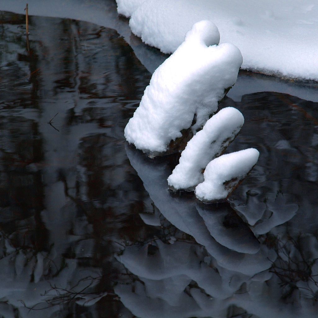 Valokuvaaja: Suvi Kinnari