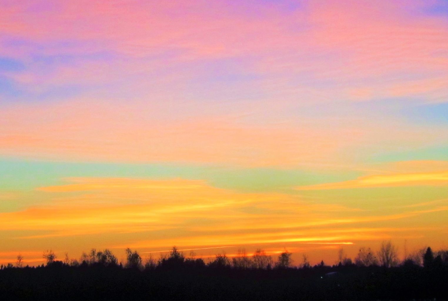 Valokuvaaja: Pirkko Hautamäki