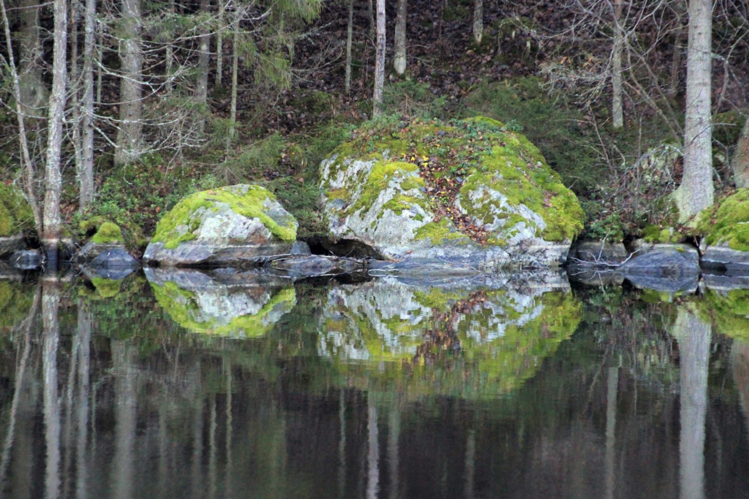 Valokuvaaja: Irja lehtinen Valokuvaaja: Irja lehtinen