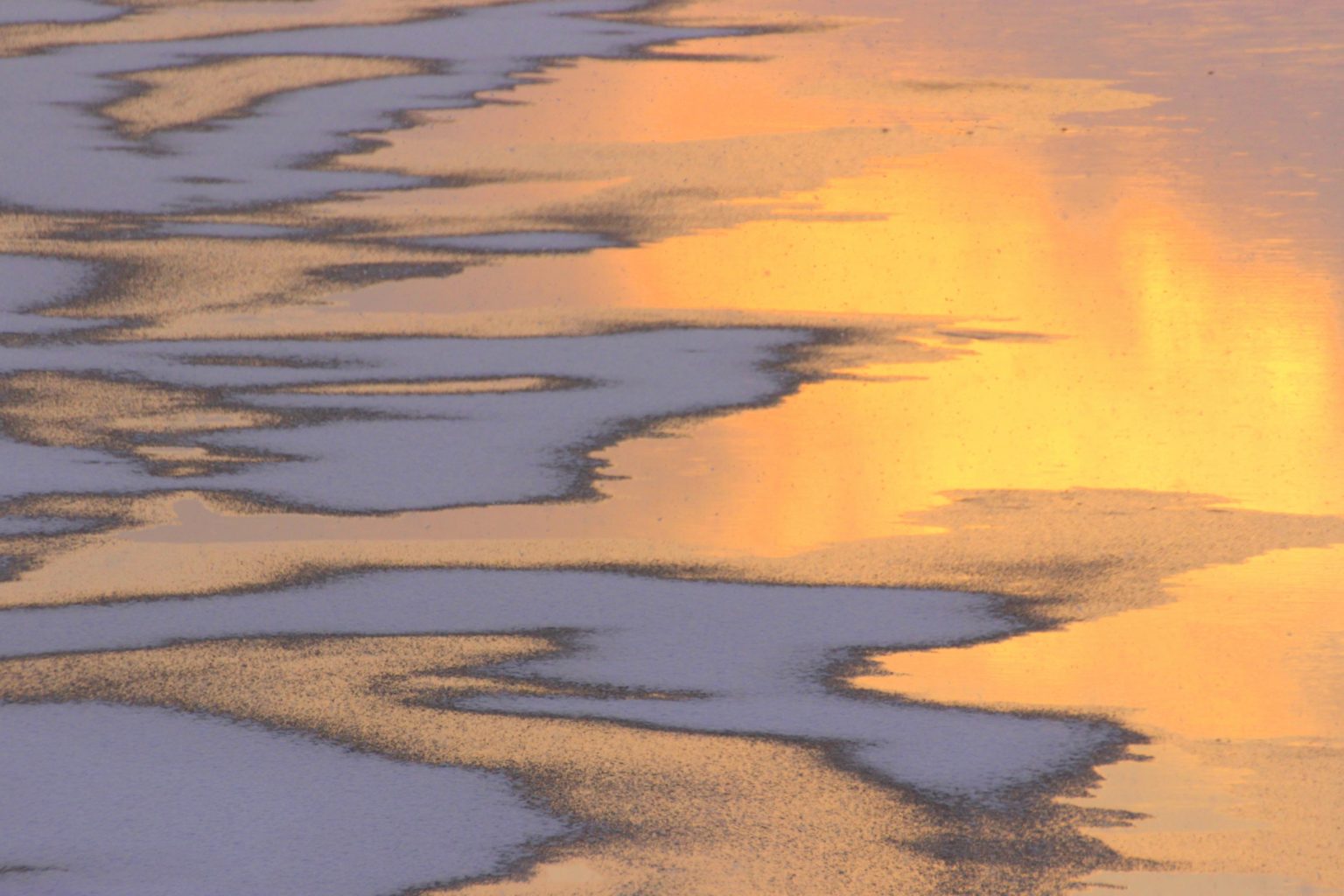 Valokuvaaja: Irja Lehtinen