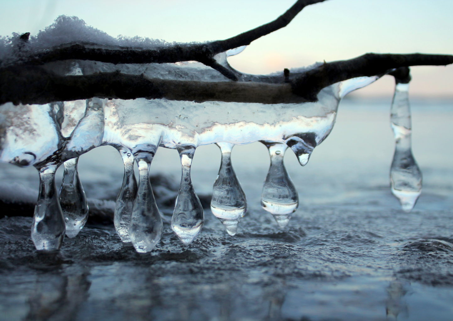 Valokuvaaja: Paula Savelius