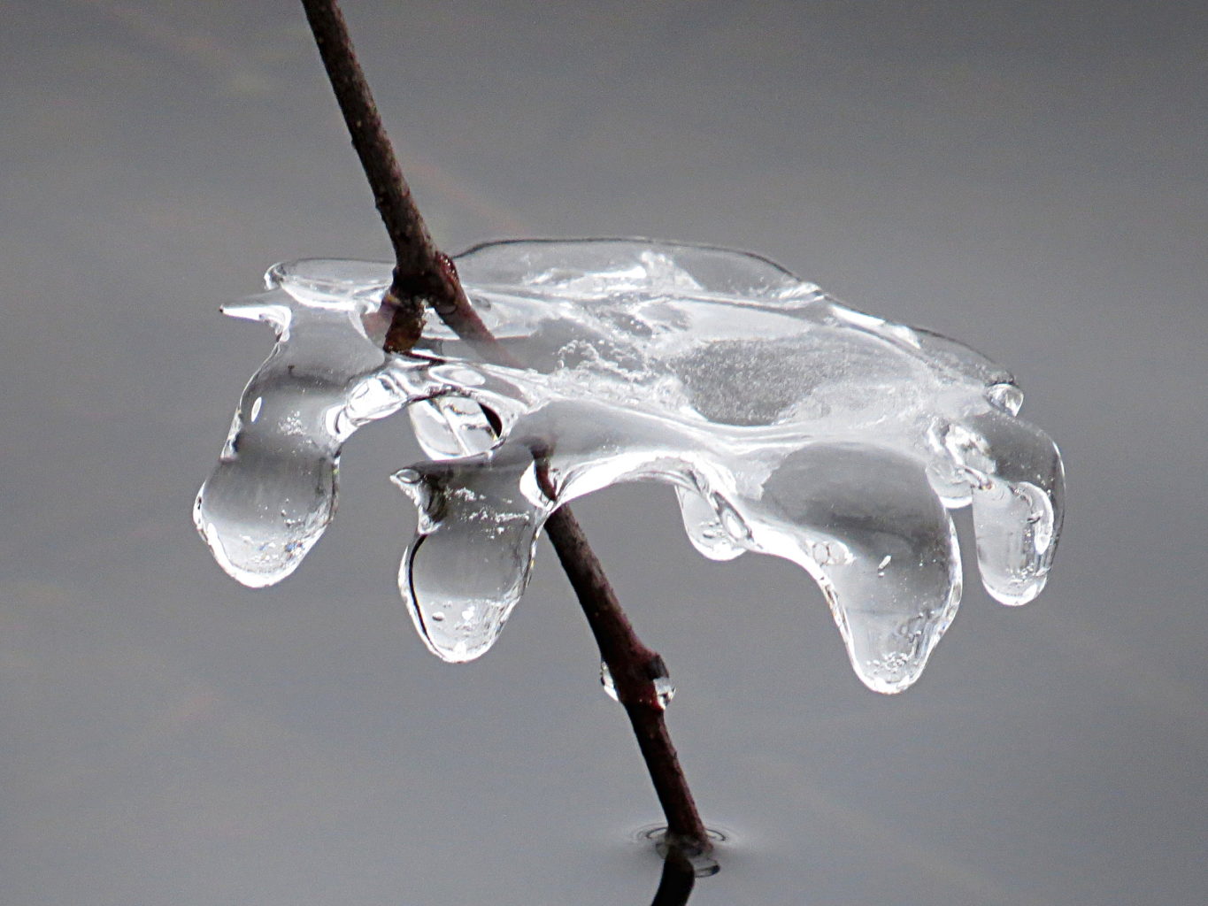 Valokuvaaja: Jaana Talvinen