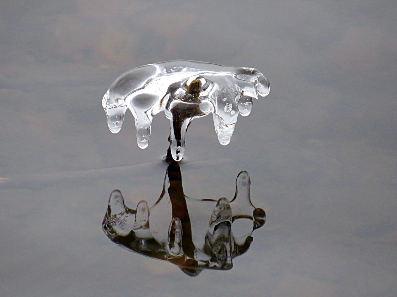 Valokuvaaja: Jaana Talvinen