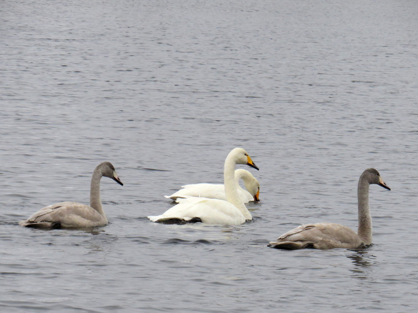 Valokuvaaja: Jaana Talvinen