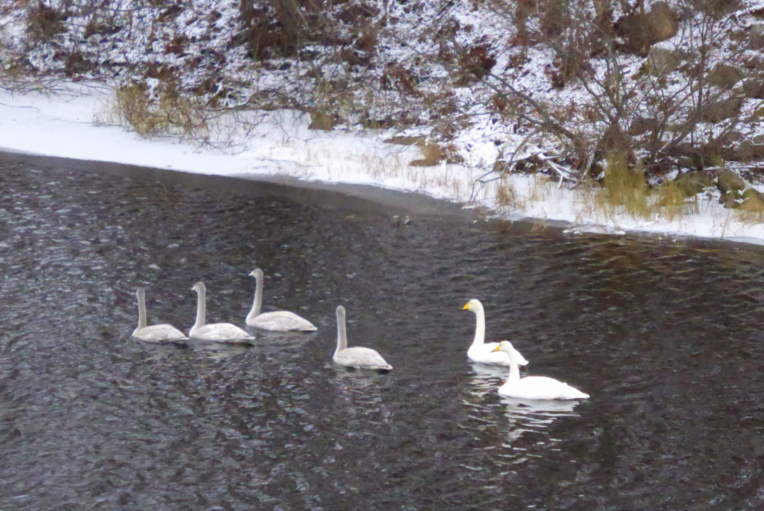 Valokuvaaja: Taija Asikainen
