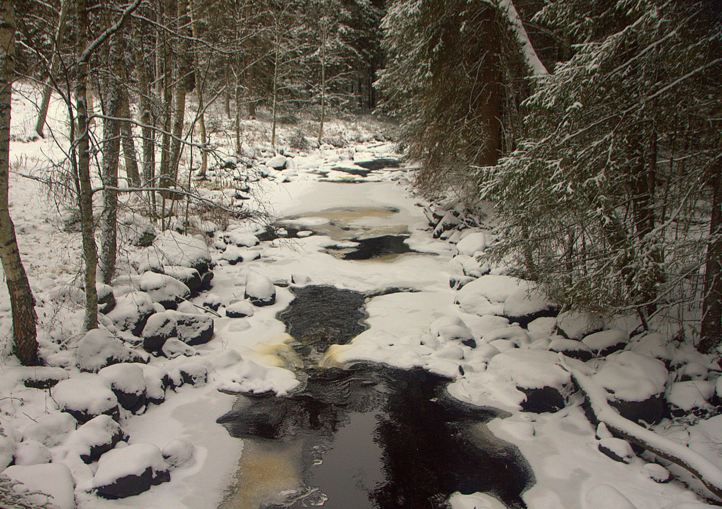 Valokuvaaja: Sirpa Jyske Valokuvaaja: Sirpa Jyske