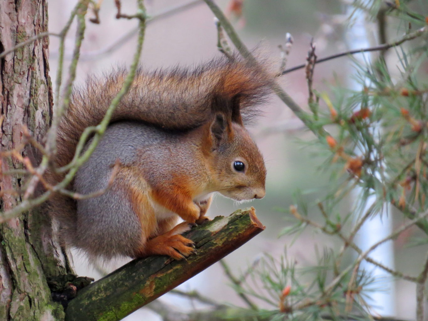 Valokuvaaja: Jaana Talvinen